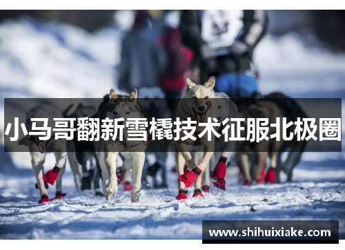 小马哥翻新雪橇技术征服北极圈